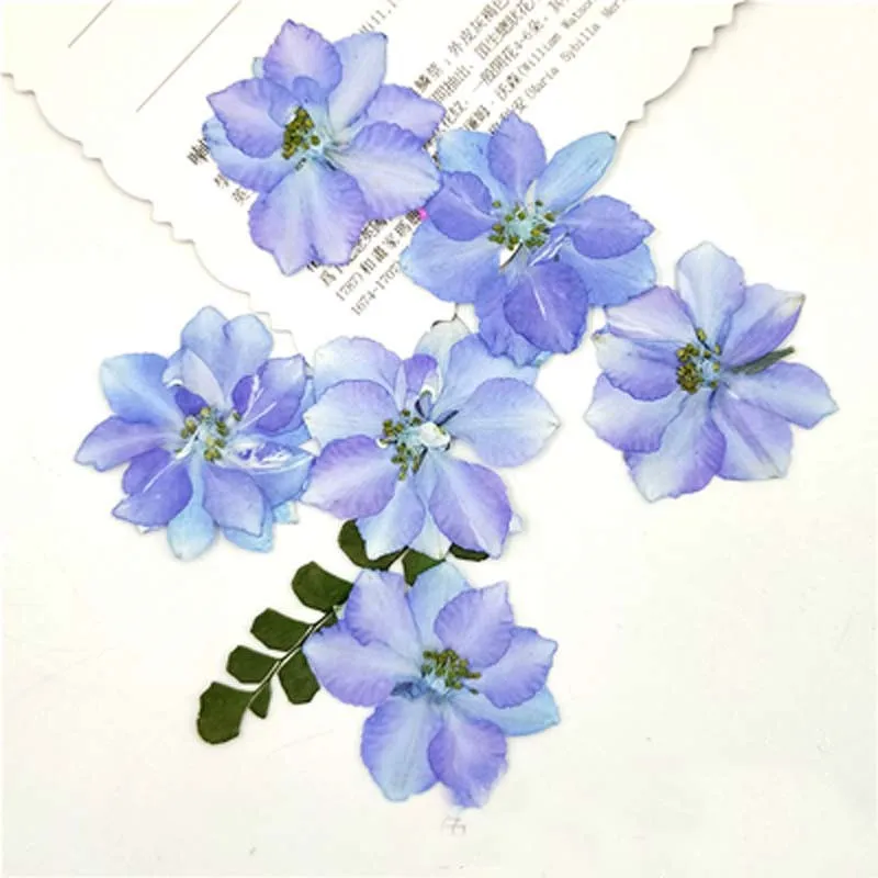 Dye Blue 2.5-3.5CM Краситель цвет Larkspur на Рождество Цветы оформление пресс цветок сушеный цветок 120 шт - Цвет: Dye Blue 2.5-3.5CM