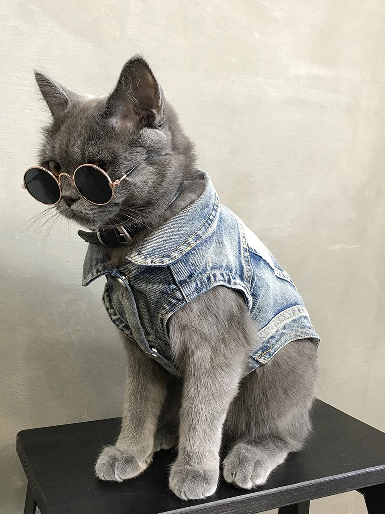 Симпатичные Pet джинсовый костюм для собаки кошки одежда домашних питомцев Кошки