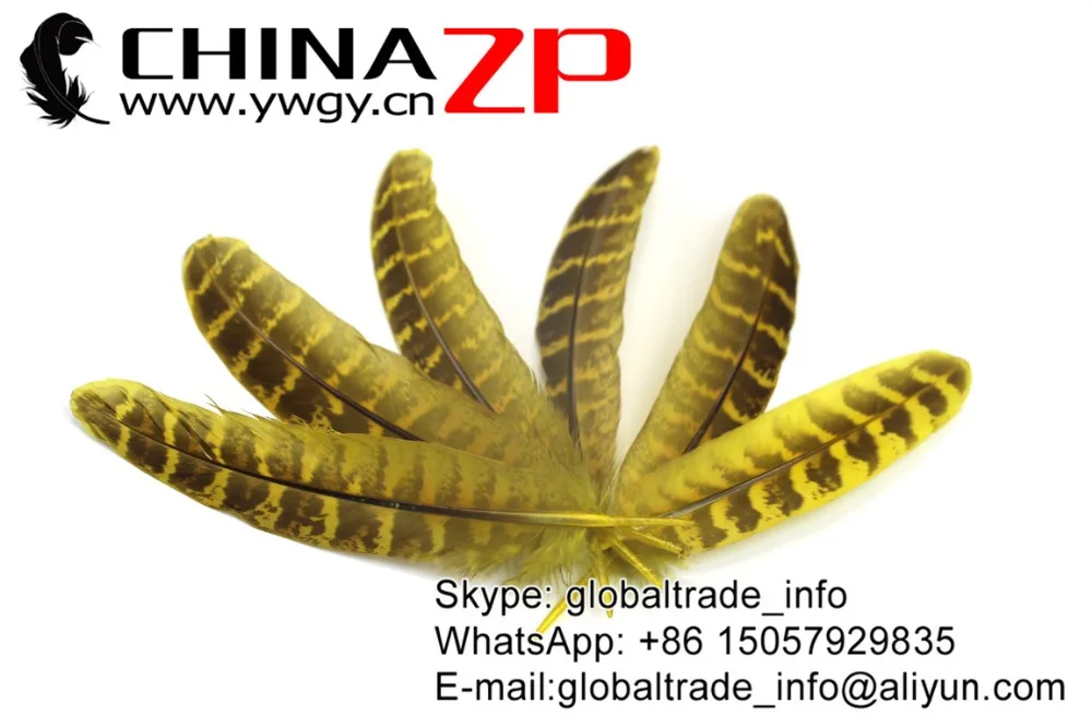 CHINAZP завод 100 шт./лот хорошее качество Цветной желтый натуральный Ringneck Несушка
