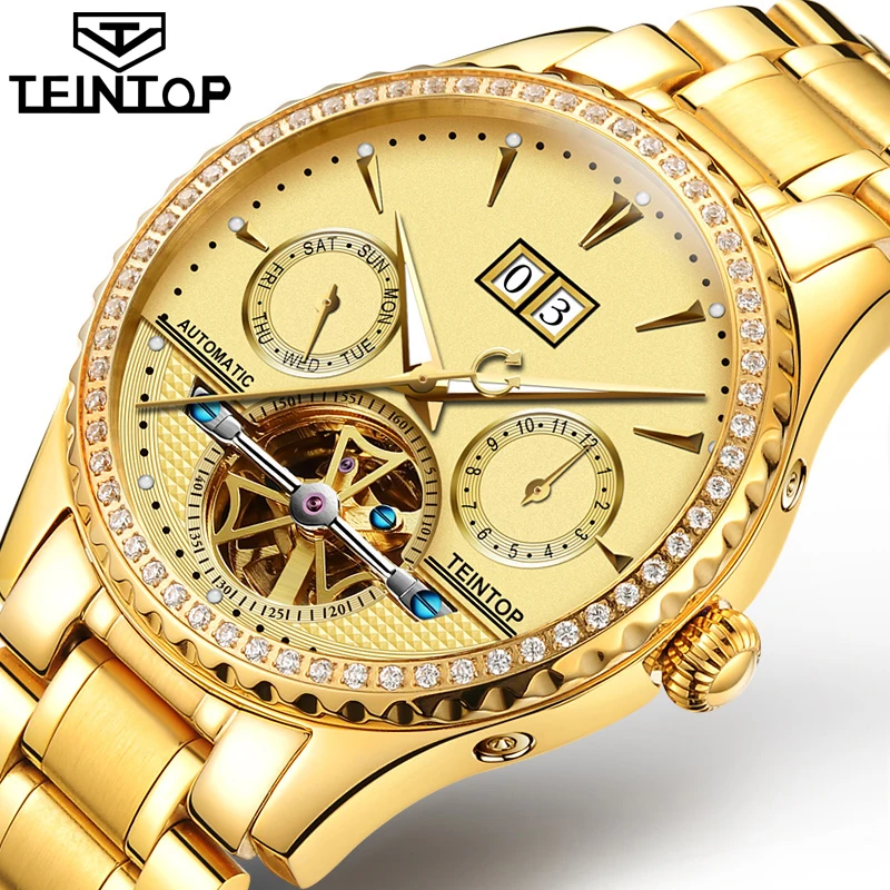 

TEINTOP Skeleton Tourbillon Mechanical Watch Men Automatic Classic Gold Stainless Steel Mechanical Wrist Watches Reloj Hombre