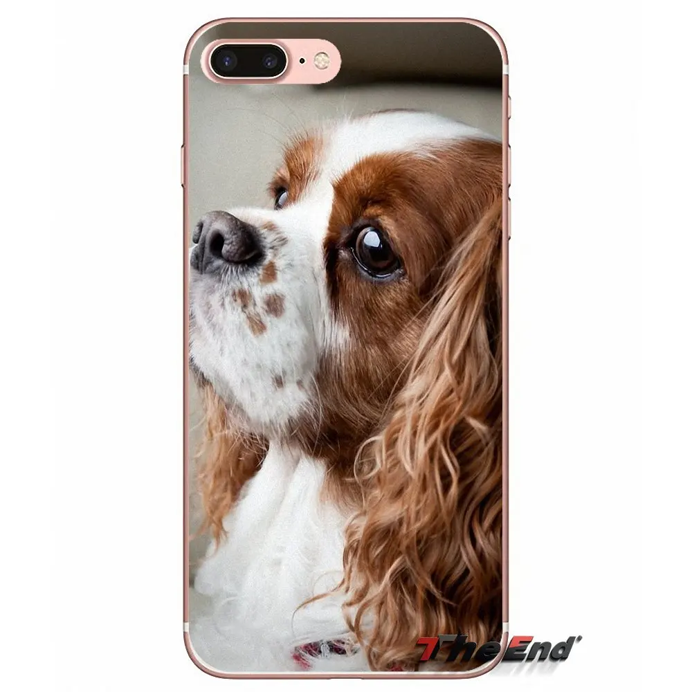 TPU чехол кавалер Кинг чарльз спаниель Собака Щенок для Apple iPhone X 4 4S 5 5S SE 5C 6 6s 7 8 плюс