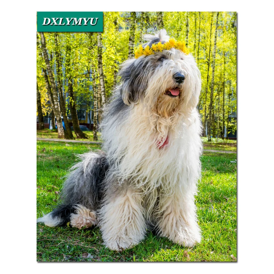 Алмазная вышивка с животными крестиком Bearded collie квадратная алмазная живопись
