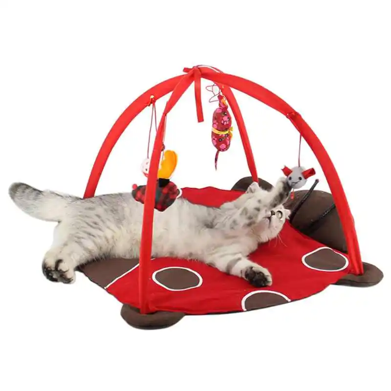 Игрушки для кроватки кошка кровать коврик одеяло дом ловушка черепаха Coccinella