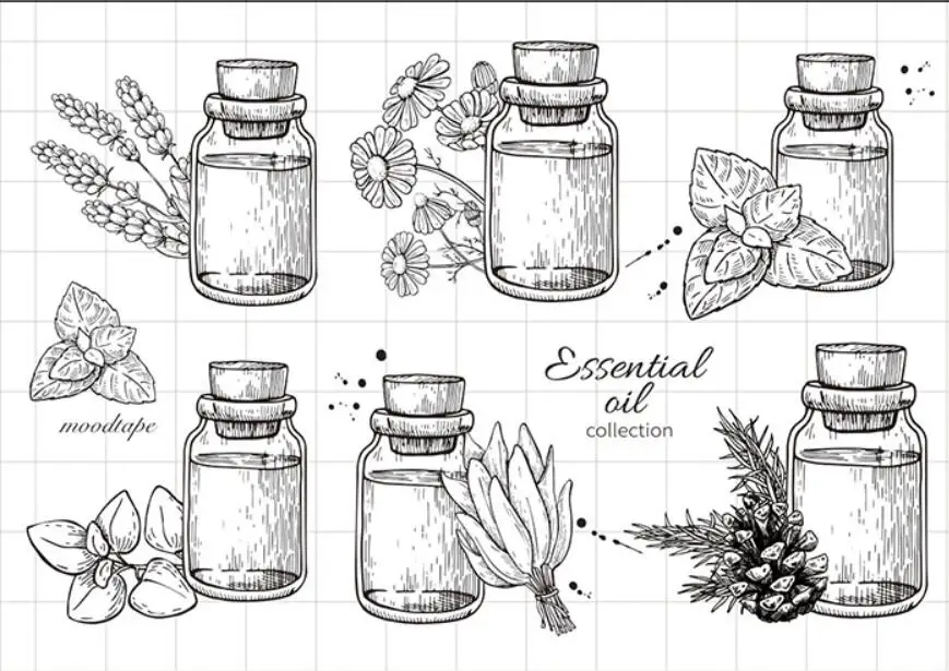 Прозрачный силиконовый штамп ZFPARTY с растительным экстрактом печать для