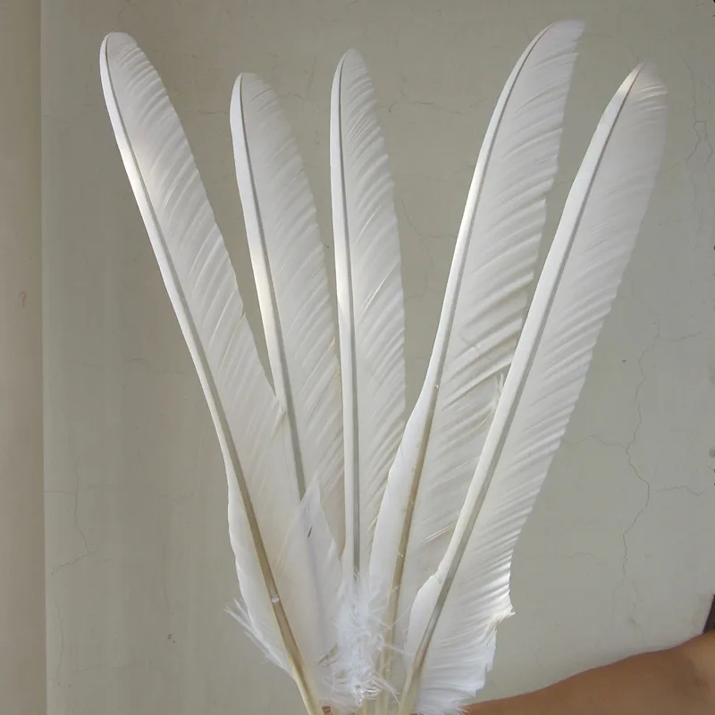 

Hot Sale 45 Pcs 35-65cm/14-26inch High quality natural Eagle bird feathers Selected Prime Eagle feathers diy jewelry decoration