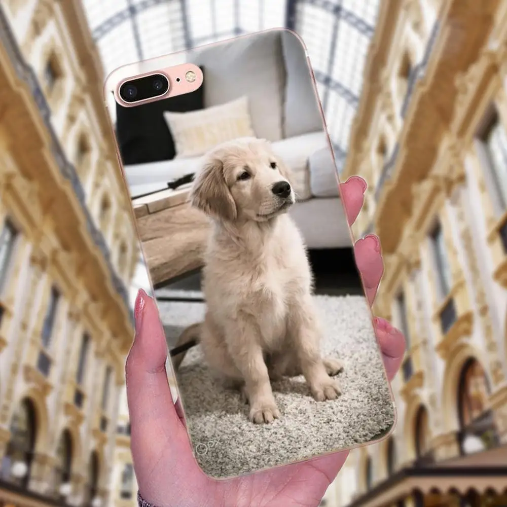 Вызова Box Подходит для породы золотистый ретривер со вставкой из ТПУ телефона с