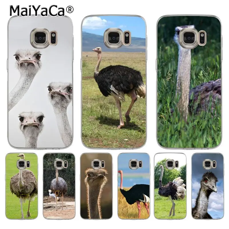 MaiYaCa Страусиная Птица Животные на продажу! Роскошный классный чехол для телефона