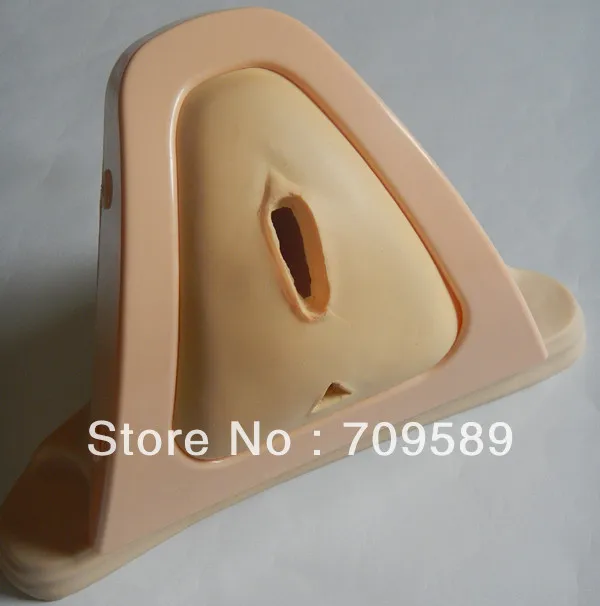 ISO усовершенствованный тренажер для резки и швов эпизиотомии|training simulator|suture training |