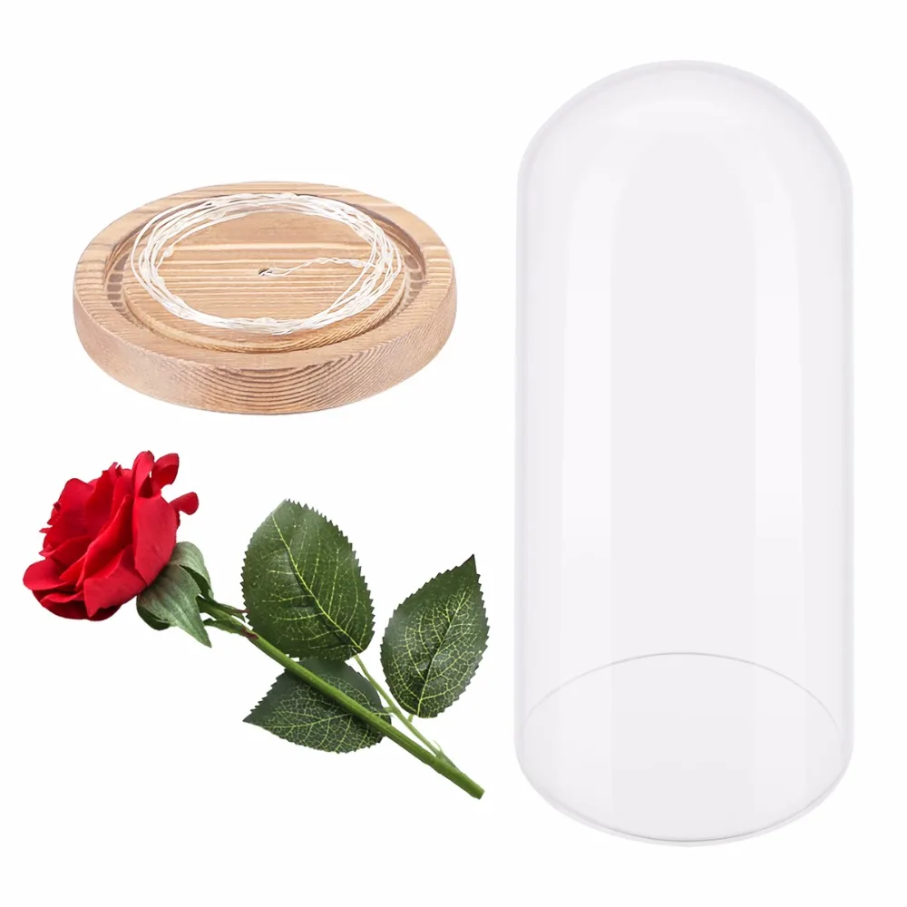

Nosii Led Light String Surround Beauty And The Beast Red Rose Petal Glass Dome Wood Base For Valentine Birthday Gift Table Decor