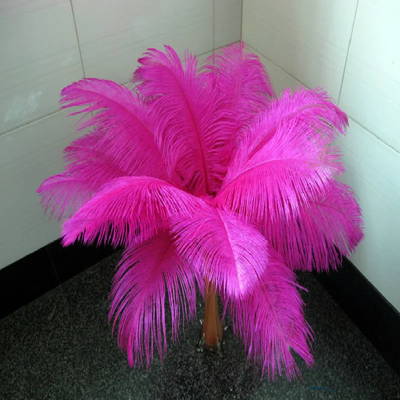 

Free shipping 10 PCS beautiful natural Mei red ostrich feather 40-45 cm / 16 to18 inches