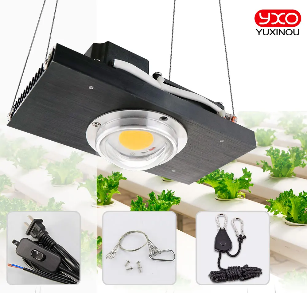 100 Вт 200 Вт CREE CXB3590 COB светодиодный светильник для выращивания 120 Вт LM301B Квантовая доска светодиодный светильник для выращивания комнатных тентов теплиц гидропоники