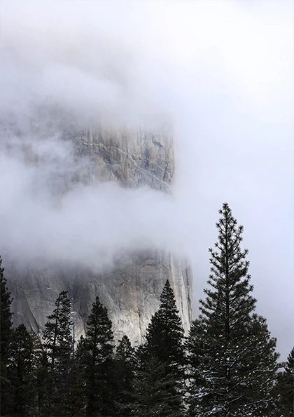 Норвежское море Альпы туман лес скандинавский искусство винтажные постеры из