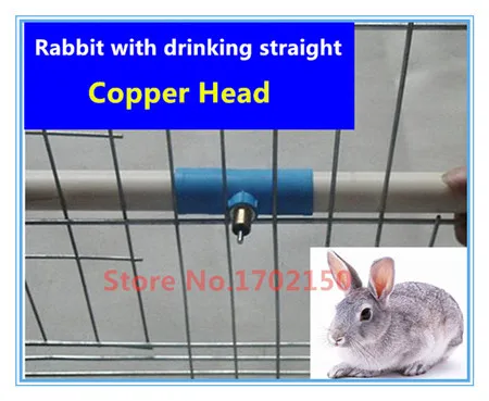 100 комплектов портативное оборудование для содержания кролика с Медной