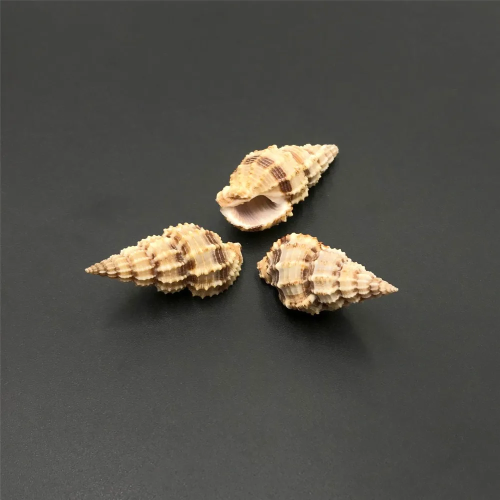 Свободный натуральный морской ракушка очаровательные бусины раковины Cowrie