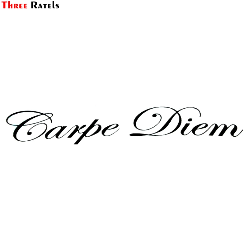 Three Ratels TZ 425 4.2 на 25см 1 5 шт Carpe Diem наклейка лобовое стекло стикеры наклейки авто для