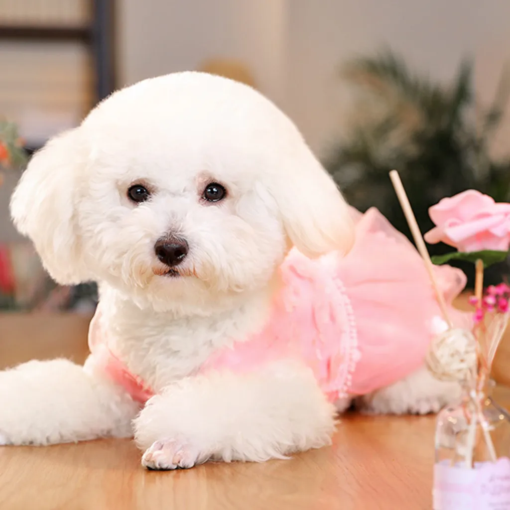 Transer платье для больших собак на весну и лето с принтом ананаса костюмы собака