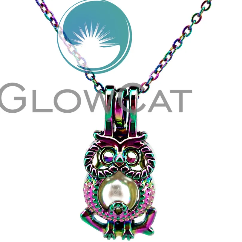 CC722 радужные цвета Грация Сова Птицы бусины клетка кулон эфирное масло диффузор