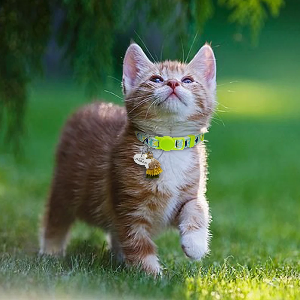 Green Ошейник для кошек, персонализированные ошейники с колокольчиком, индивидуальное ожерелье с котенком в богемном стиле, гравировка, бирка для удостоверения личности рыбы - Цвет: Green
