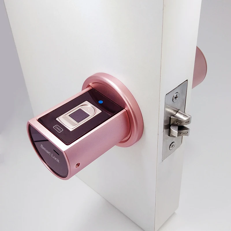 Европа смарт-замок со сканером отпечатков пальцев | Обустройство дома