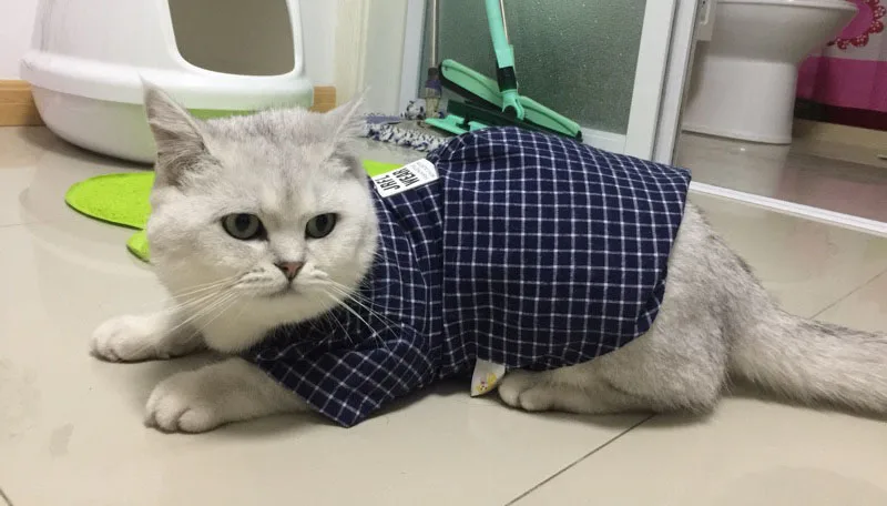 Маленькая собака одежда для домашних животных, котов, красивый котик, одежда модные Рубашки в клетку для кошек котенка хлопковые щенков летняя одежда XS размеры s m l xl