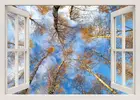 Настенные Стикеры с эффектом 3D на окно, наклейки на стену с изображением природных деревьев, Настенная Наклейка для спальни, гостиной, домашний декор