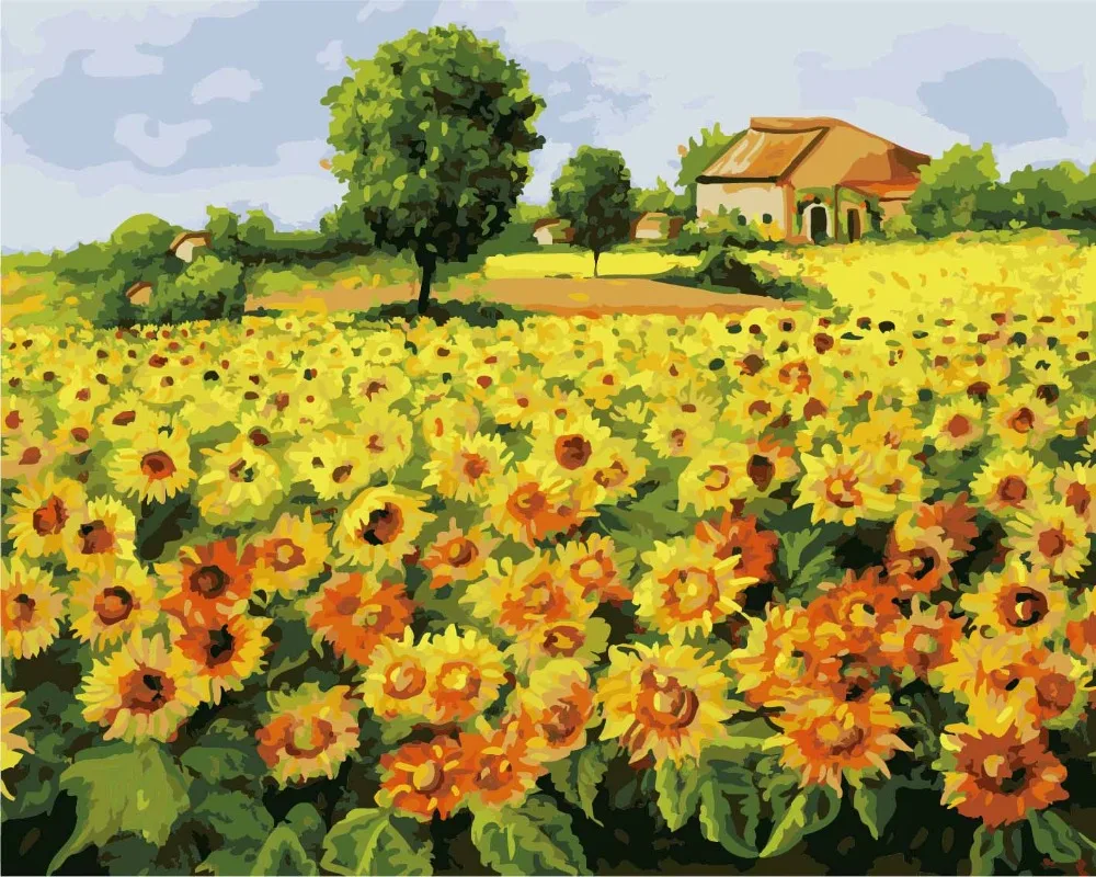 

cioioil-C124 Sunflower field Painting By Numbers Canvas Painitng Home Wall Art Picture Coloring By Numbers