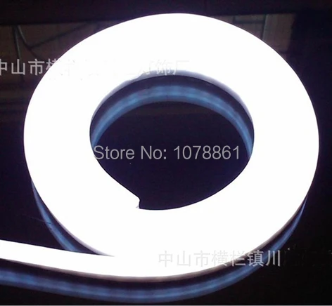 Бесплатная доставка светодиодная неоновая веревка 2 провода 220 в 240 В 110 120 гибкая