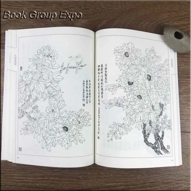 Сто фотографий цветочного пиона традиционный китайский Bai Miao Gong Bi рисование