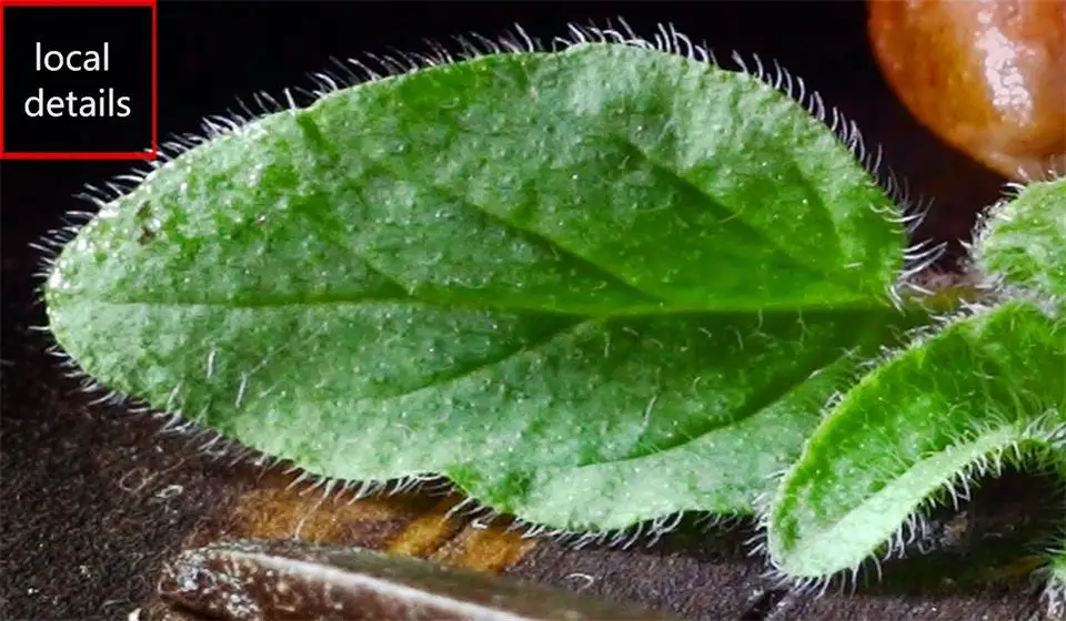 3d обои фотообои на заказ Фреска для гостиной стейк фотография живопись фон