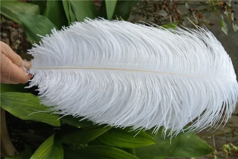 

Free shipping 100 pcs/lot 35-40 cm 14-16 inches fluffy White Black ostrich plumes feather centerpieces wedding party DIY feather