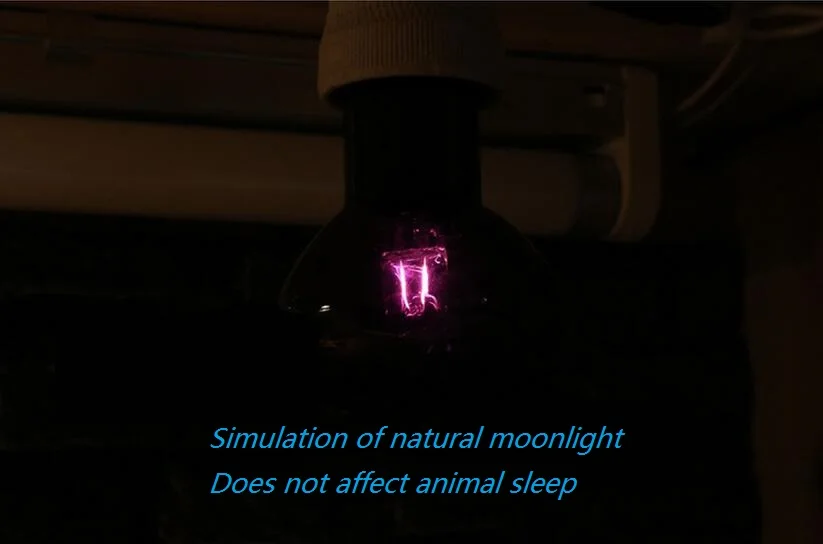 Нагревательные Лампы рептилия черепаха года лампа для обогрева ежа галогенная