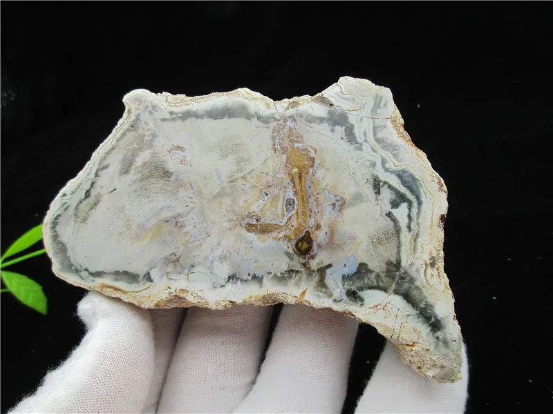 

Натуральный корень дерева ископаемого с украшением в виде кристаллов камень Исцеление рок образец драгоценного камня минеральный драгоце...