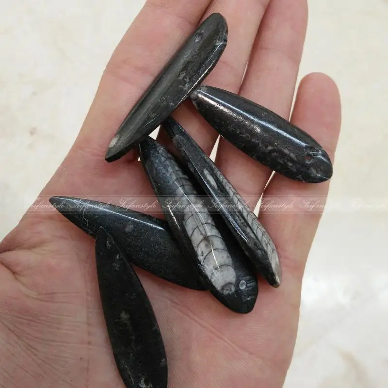 

AAAAA++ 1PC rare Natural Trilobite Cluster Specimen Drop shipping F453