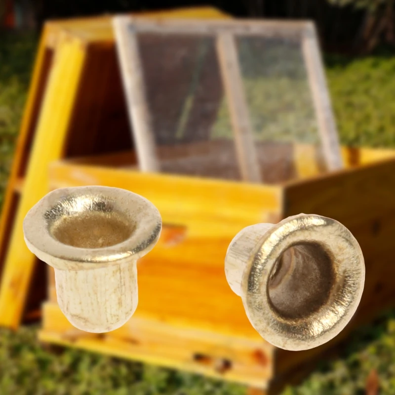 

1 Bag Italian Bee Hive Nest Hole Copper Eye Plating Beekeeping Threaded Box Tool