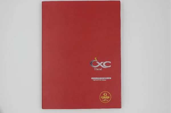 CXC нить цветная карта диаграмма образец книга silmiar dmc нити 447 цветная книга
