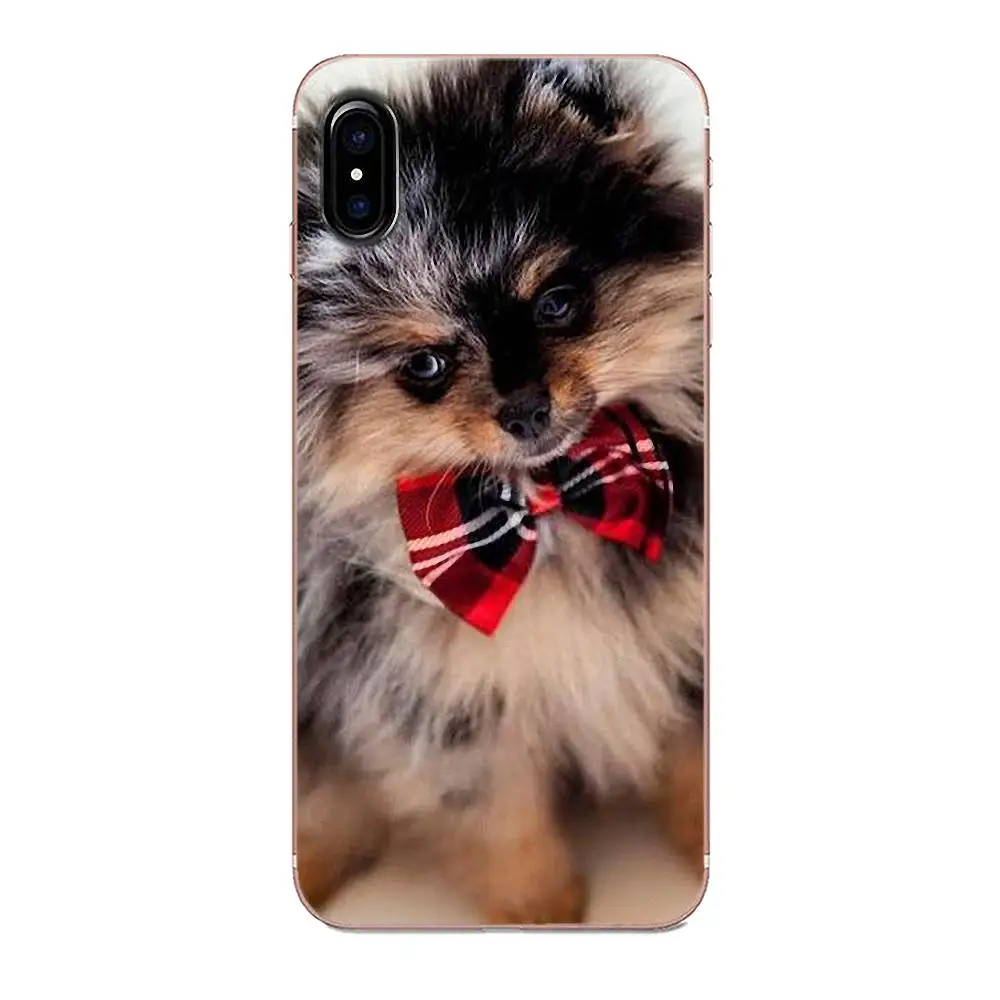 Милый чехол для телефона Pomeranian Dogs с красочным дизайном Apple iPhone 4 4S 5 5C 5S SE 6 6S 7 8 Plus X XS
