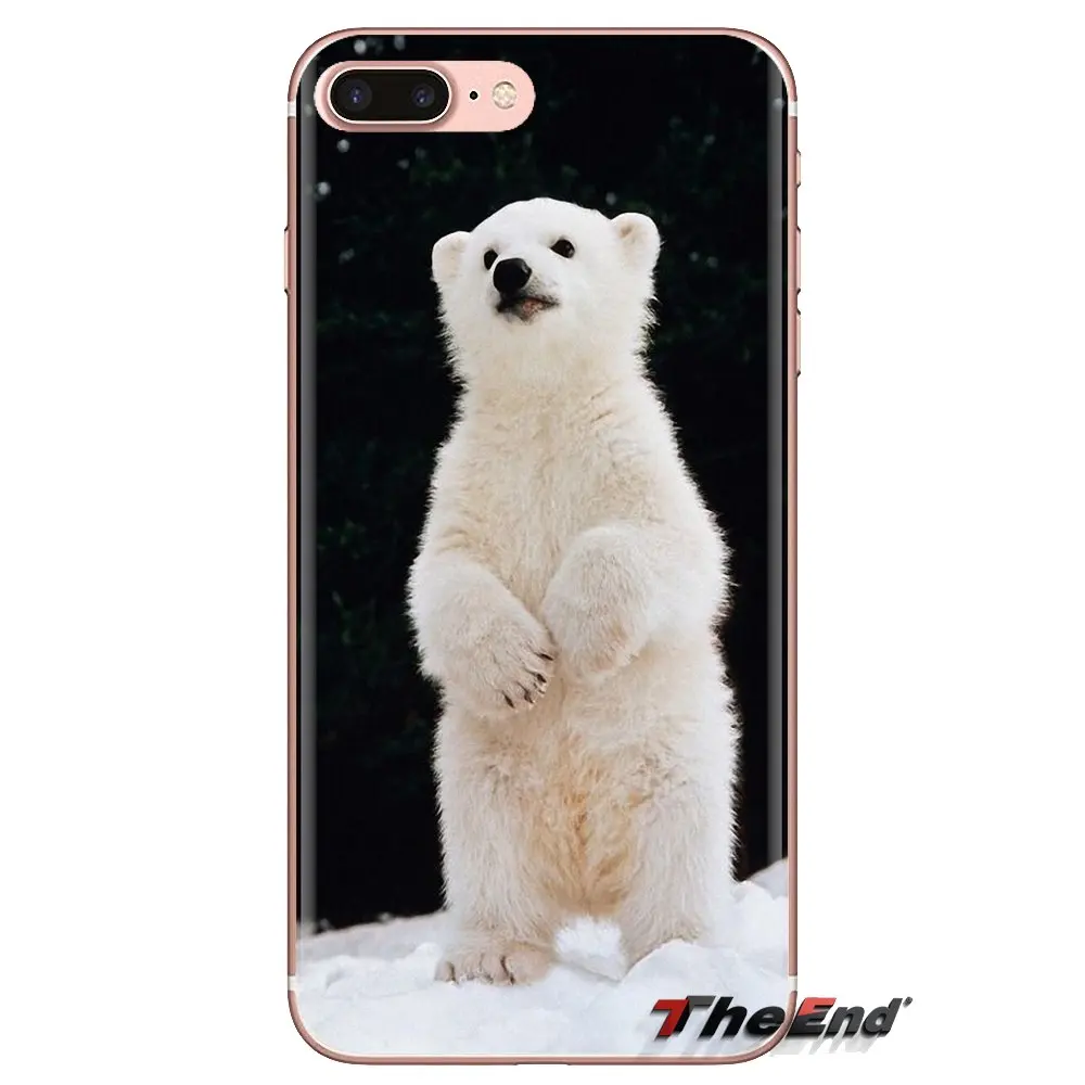 Polar bear in the shore of Alaska Silicone Phone Cases For Samsung Galaxy J1 J2 J3 J4 J5 J6 J7 J8 Plus 2018 Prime 2015 2016 2017 |