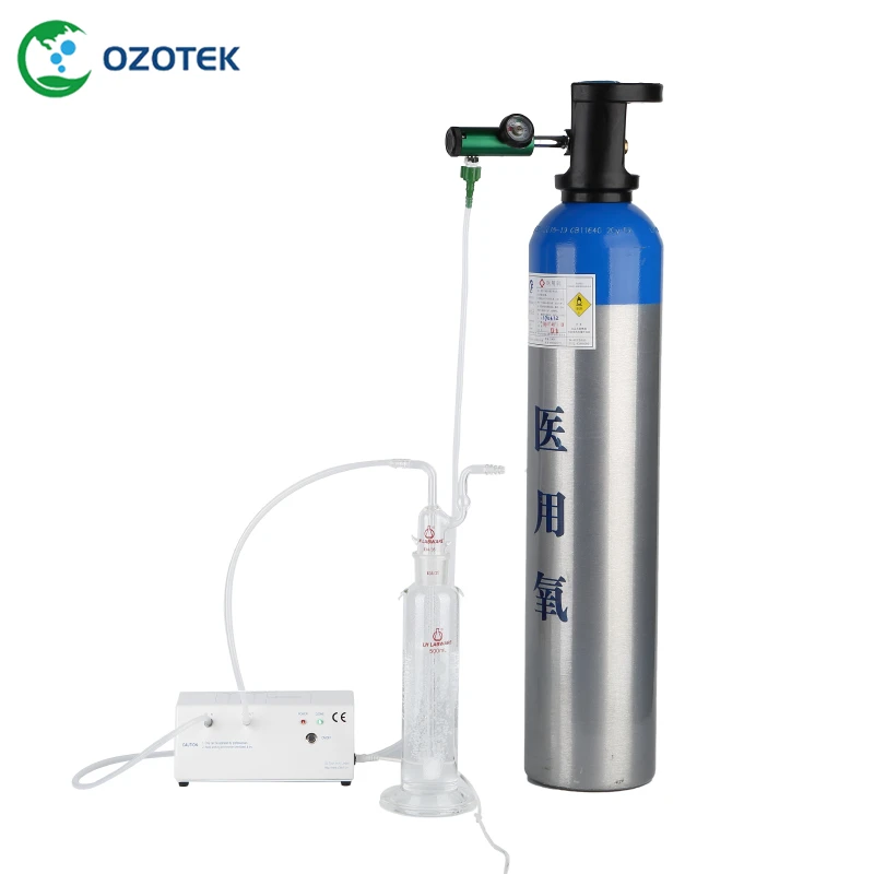 OZOTEK 12VDC генератор озона медицинский MOG003 5-99ug/ml Для озоновой терапии Бесплатная