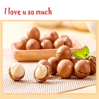 new 50 pcslot raw macadamia hawaii nut bag queensland nut package seed without green shell hawaiicrispy plant