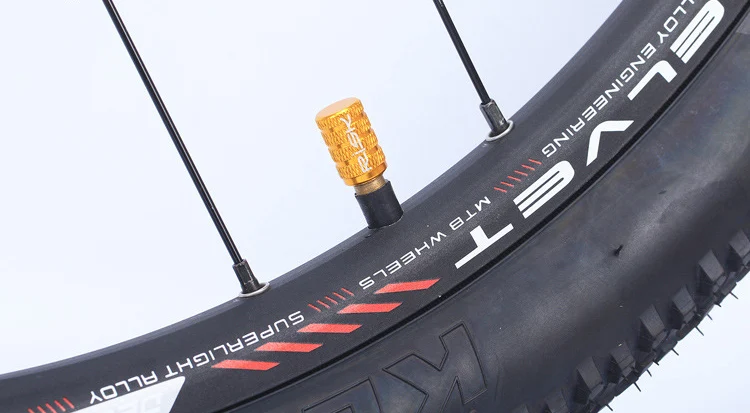 RISK 2 шт. велосипедный MTB Schrader Клапан Крышка для MTB велосипеда бескамерные готовые покрытые шины 7 цветов водонепроницаемый протектор - Цвет: gold