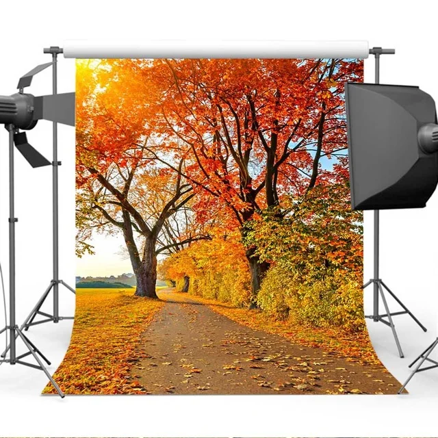 5X7 футов Виниловый фон для фотографов с глубокой осенней дорожкой Кленовым