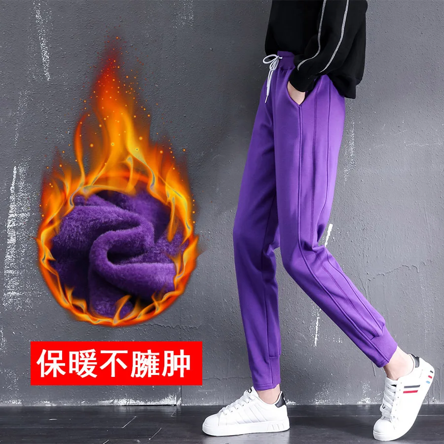 purple Осенне-зимние утепленные штаны с эластичной резинкой на талии, свободные большие размеры, однотонные Хлопковые Штаны-шаровары, женские теплые брюки, спортивные штаны для бега - Цвет: purple