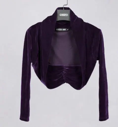 long sleeve purple Весна осень женский маленький велюровый короткий кардиган болеро с длинным рукавом вязаный жакет женский однотонный тонкий кардиган W004 - Цвет: long sleeve purple