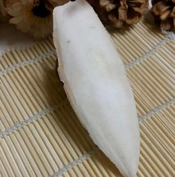 Каракатица Bone жевательная игрушка для попугаев домашних животных волнистый