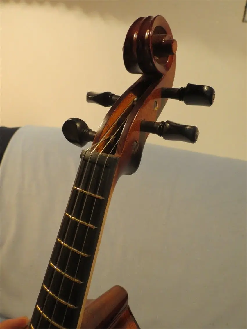 Стиль барокко песня Maestro instate Лады 4 струны 15 1/2 &quotviola da gamba #12979|Альт| |