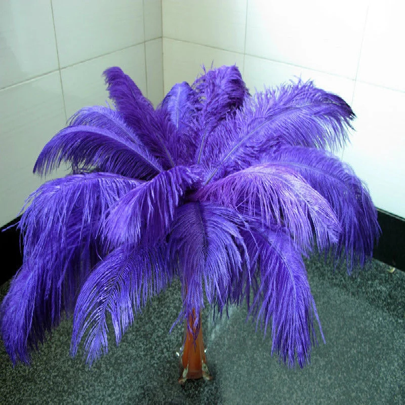 

wholesale 10 PCS beautiful purple ostrich feather 35-40cm /14 to 16 inches