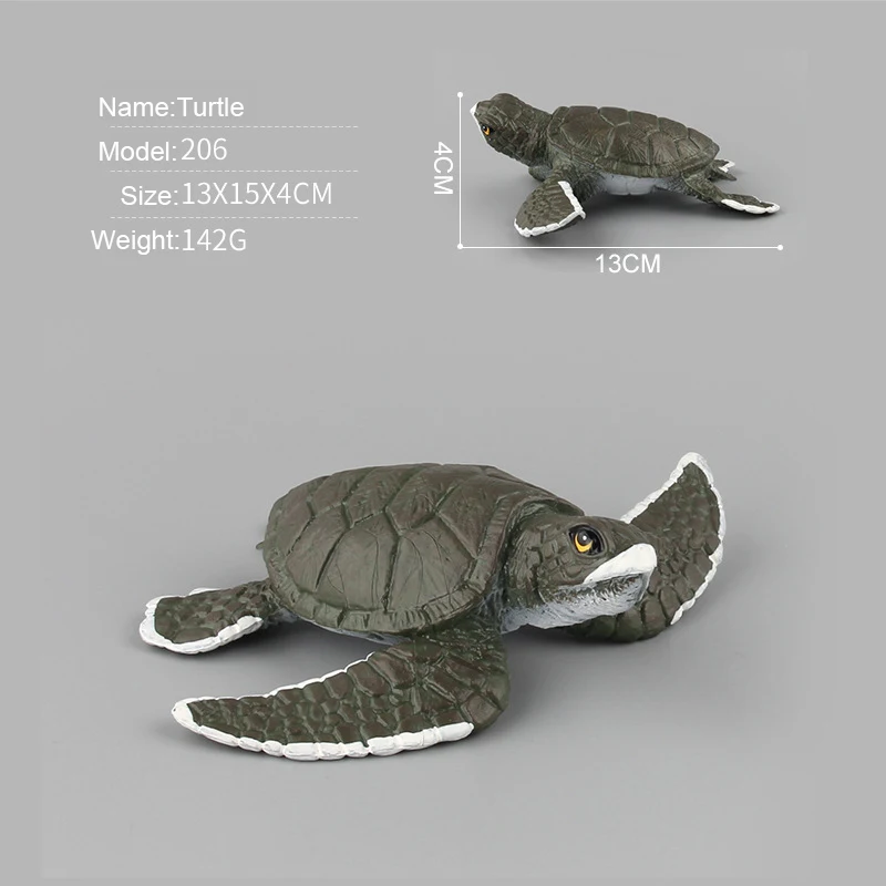 Моделирование морской жизни Модель морская черепаха жизнь познание Настольный