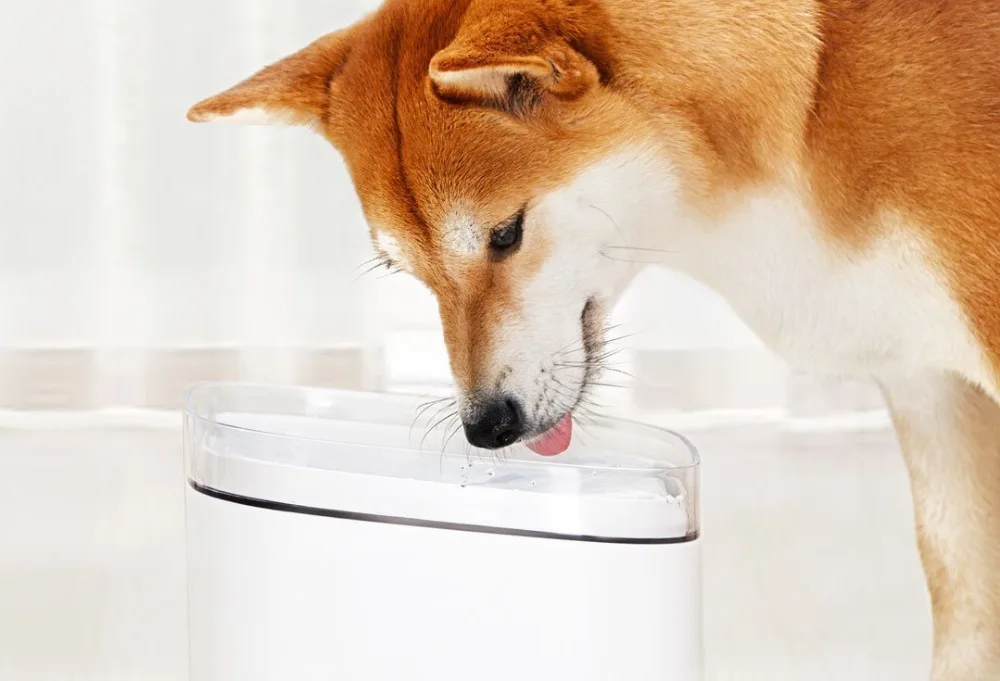 Xiaomi Mijia котенок, щенок, домашнее животное диспенсер для воды кошка живой фонтан 2Л Электрический фонтан Автоматическая умная собака поилка