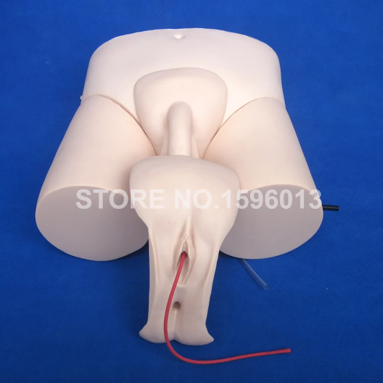 Электронный катетерический тренировочный симулятор сменная модель