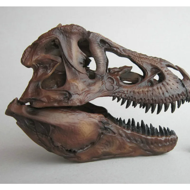Ремесла Искусство ремесла 1/12 Тираннозавр Рекс Динозавр череп Смола Fossil